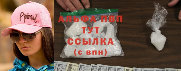 мет Алексин