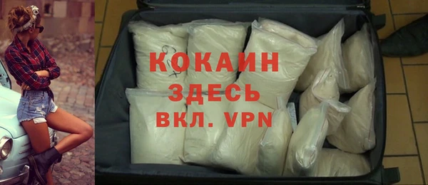 хмурый Алзамай