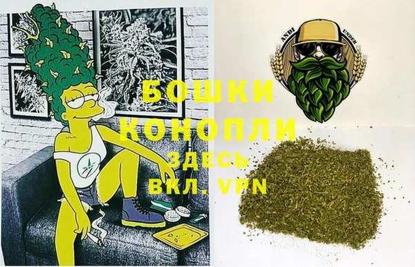 мет Алексин