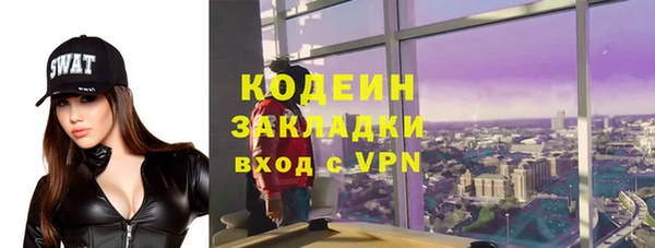 мет Алексин