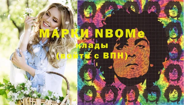 хмурый Алзамай