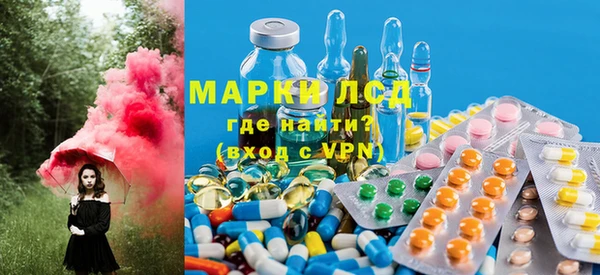 хмурый Алзамай