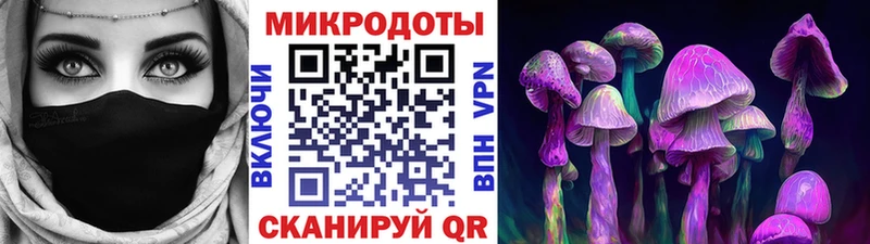 Псилоцибиновые грибы GOLDEN TEACHER Жуков